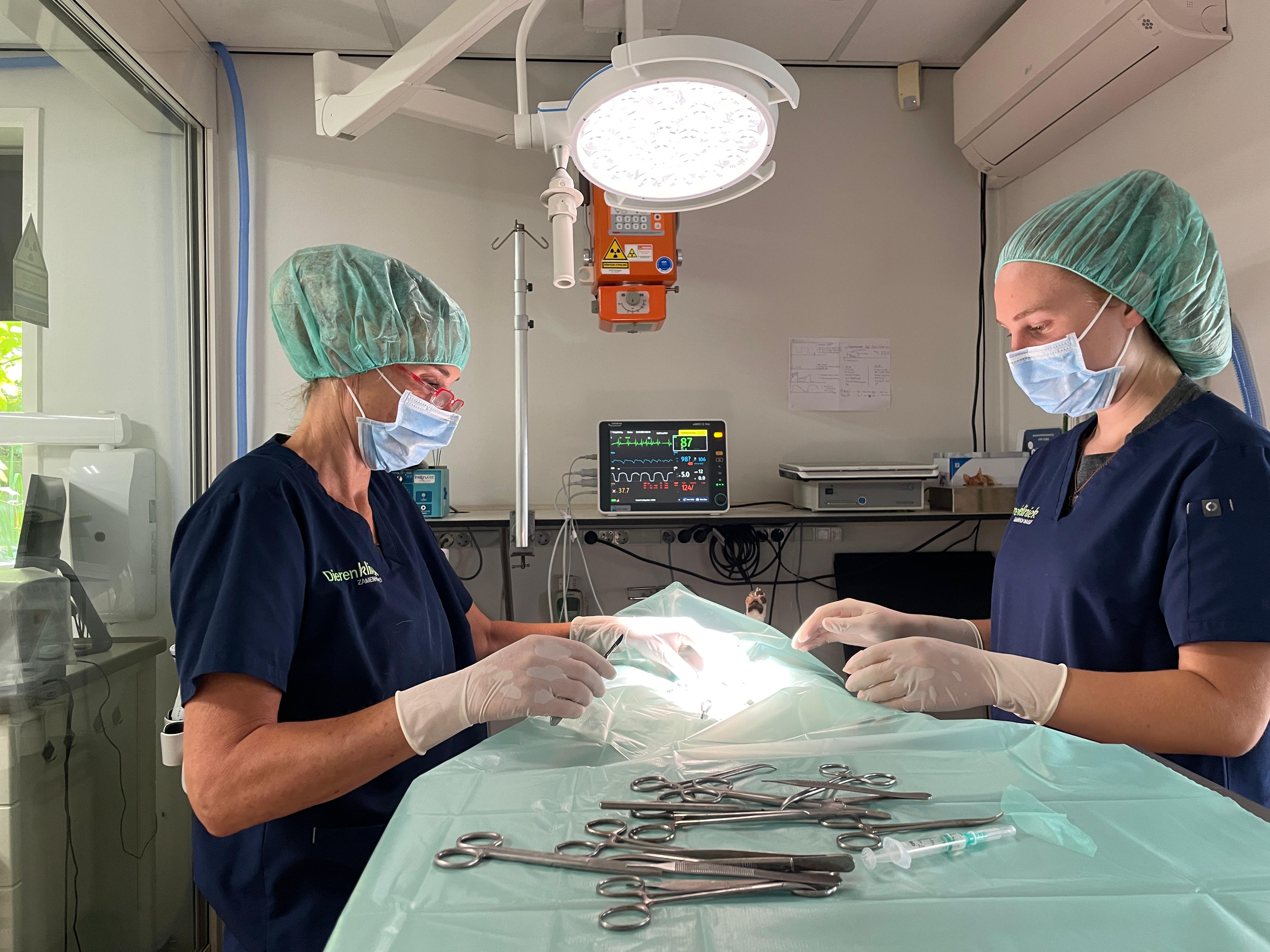 dierenkliniek zamenhofdreef chirurgie utrecht specialisten